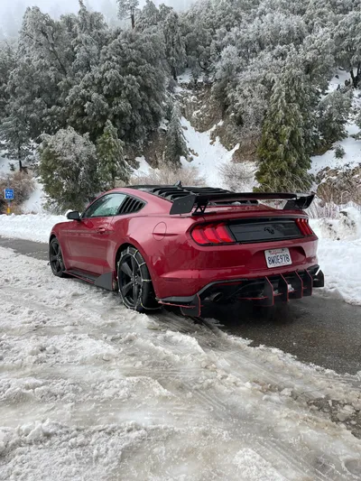 Luis's 2021 Ford Mustang — photo 2